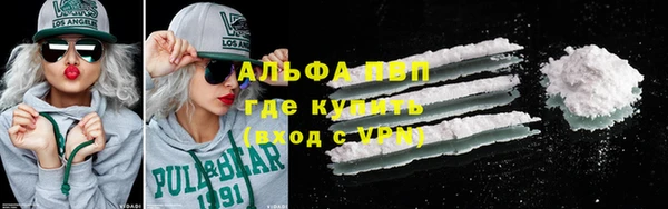 стафф Новодвинск