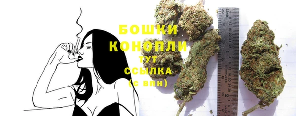 крисы Новозыбков