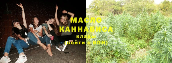 крисы Новозыбков
