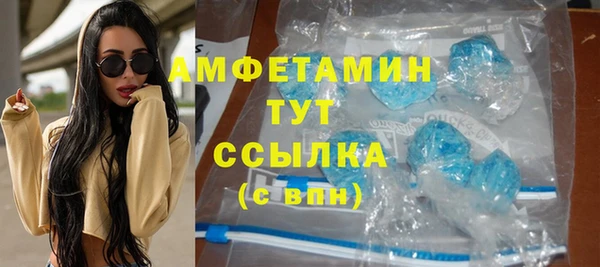 крисы Новозыбков