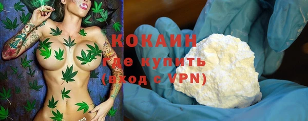 стафф Новодвинск
