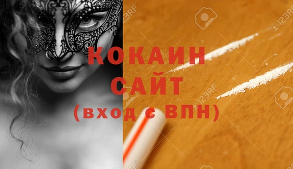 крисы Новозыбков